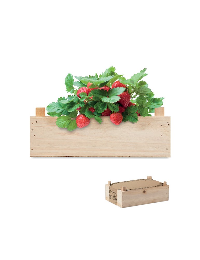 Kit de Culture de Fraises | Objets Publicitaires