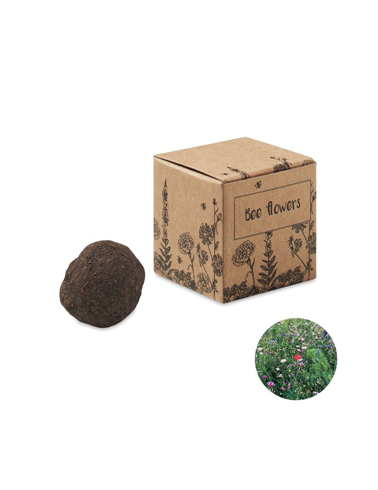 Bombe Graines Fleurs d'Abeille - et Pratique