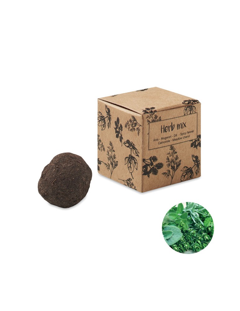 Kit de culture d'herbes aromatiques - Personnalisée pas cher BOMBI III