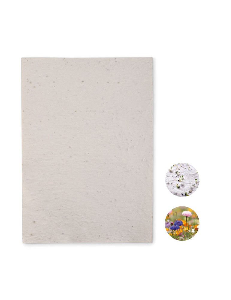 Papier A4 Graines de Fleurs - et Unique Personnalisée pas cher