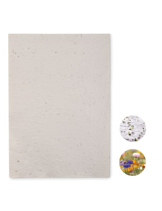 Papier A4 Graines de Fleurs - et Unique Personnalisée pas cher