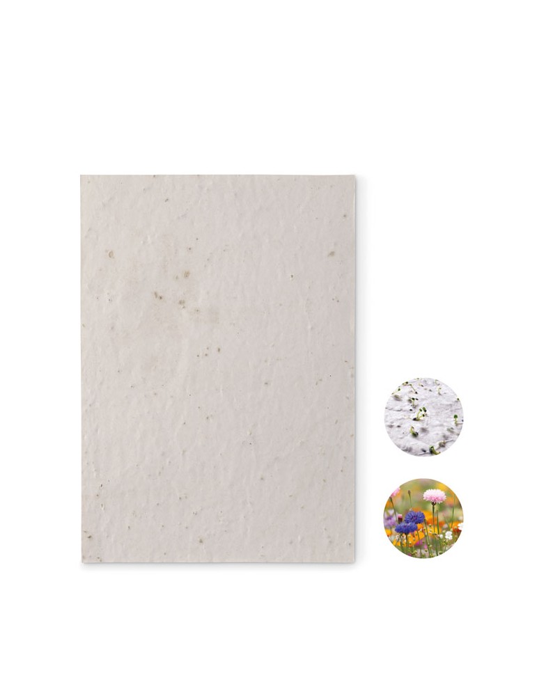 Papier A5 Graines de Fleurs - et Pratique Personnalisée pas cher