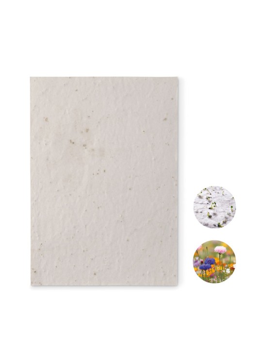 Papier A5 Graines de Fleurs - et Pratique Personnalisée pas cher