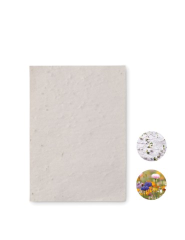 Papier A6 Graines de Fleurs - Personnalisée pas cher ASIDO