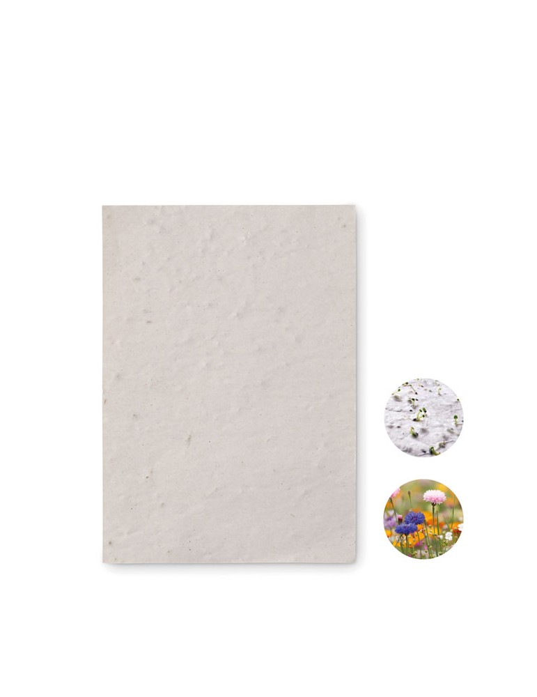 Papier A6 Graines de Fleurs - Personnalisée pas cher ASIDO