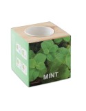 MENTA