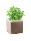 BASIL