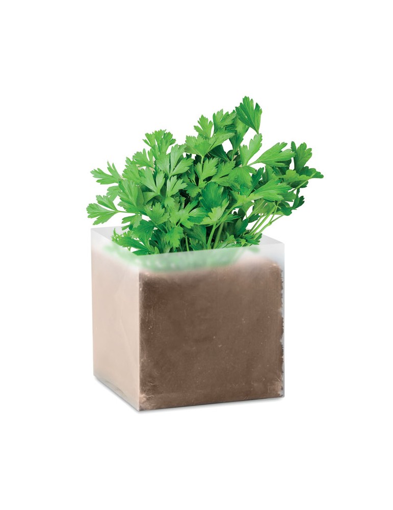 Substrat Personnalisé avec Graines de Persil - Idéal pour Jardiniers pas cher