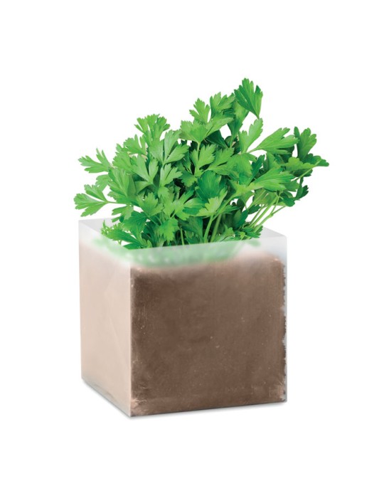 Substrat Personnalisé avec Graines de Persil - Idéal pour Jardiniers pas cher