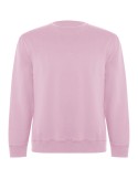 Sweat shirt de 300 g/m² Batian en coton organique
