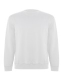 Sweat shirt de 300 g/m² Batian en coton organique