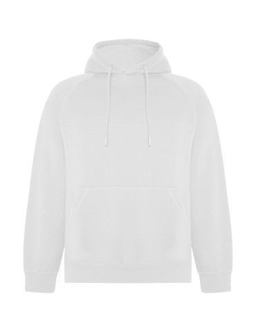 Sweat à capuche de 300 g/m² Vinson en coton organique unisexe 2