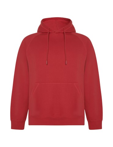 Sweat à capuche de 300 g/m² Vinson en coton organique unisexe