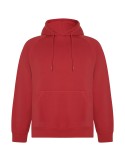 Sweat à capuche de 300 g/m² Vinson en coton organique unisexe