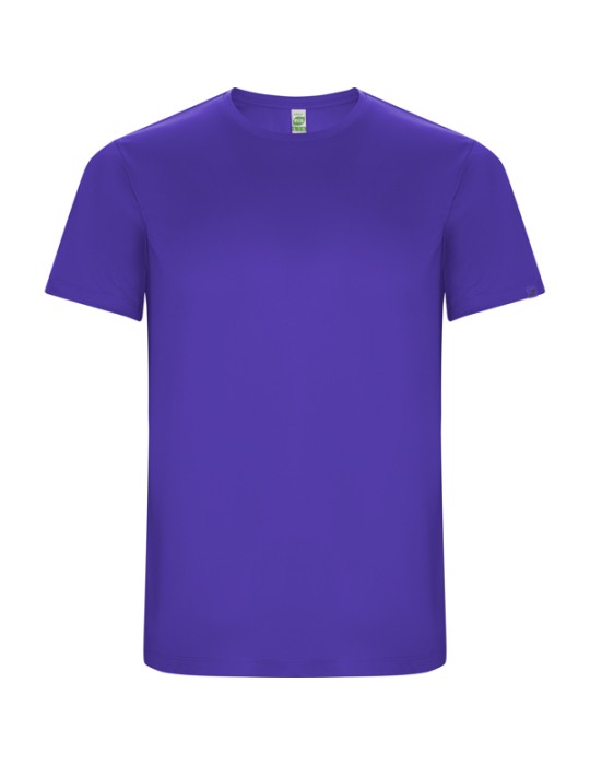 IMOLA