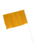 CELEB