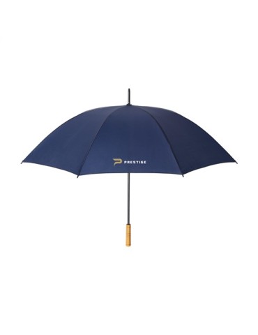 BlueStorm RCS RPET parapluie 30 inch 2