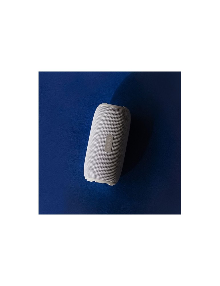 Sudio Bluetooth Speaker F5 Pro