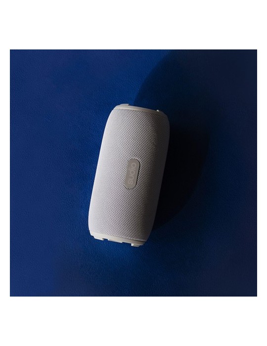 Sudio Bluetooth Speaker F5 Pro