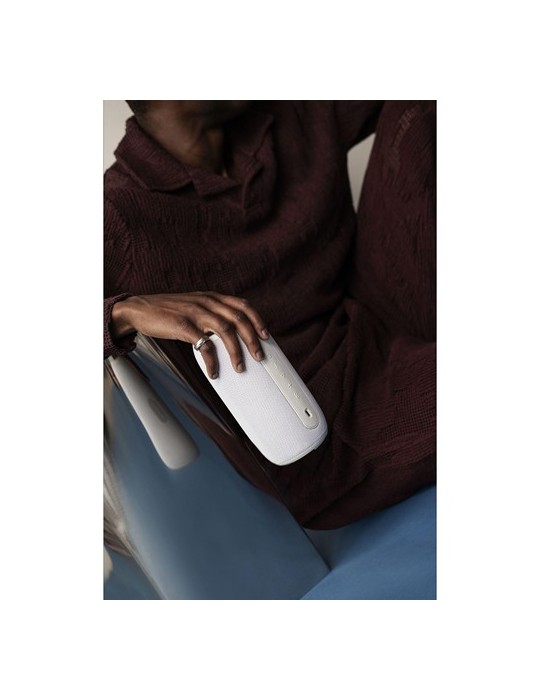 Sudio Bluetooth Speaker F5 Pro