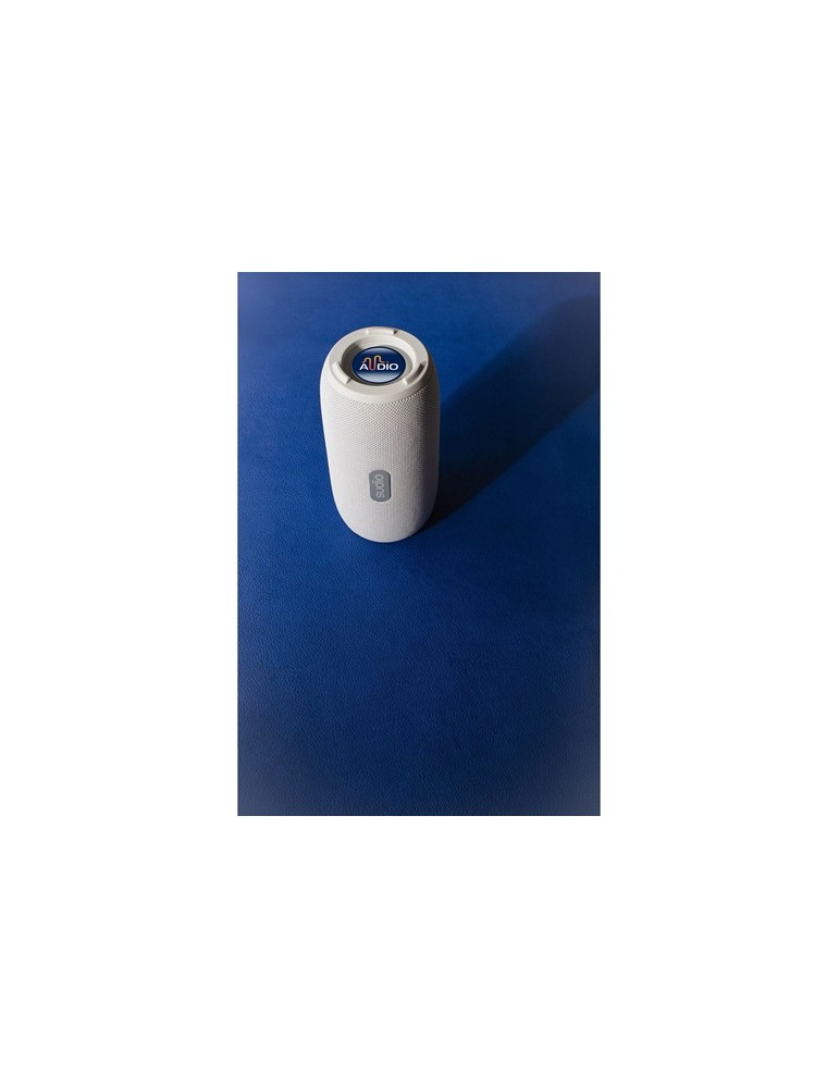 Sudio Bluetooth Speaker F5 Pro