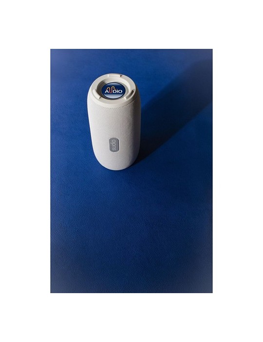 Sudio Bluetooth Speaker F5 Pro