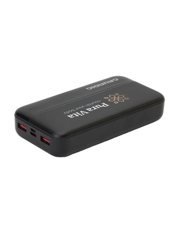 Grundig Powerbank 20000 mAh batterie externe