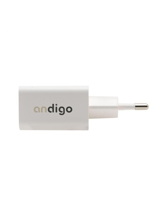 Grundig Wall Charger 230V fiche de charge