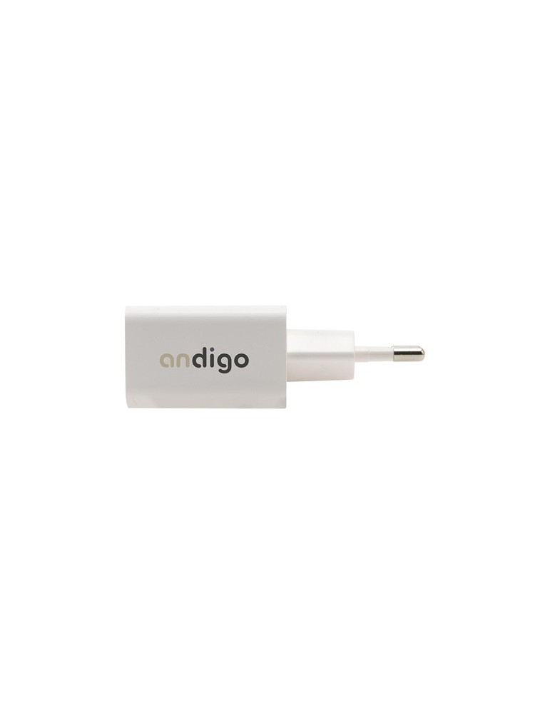 Grundig Wall Charger 230V fiche de charge