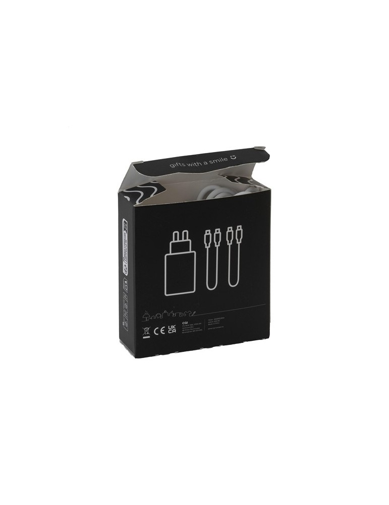 2-in-1 RCS Cable Charging Set Ens. de charge