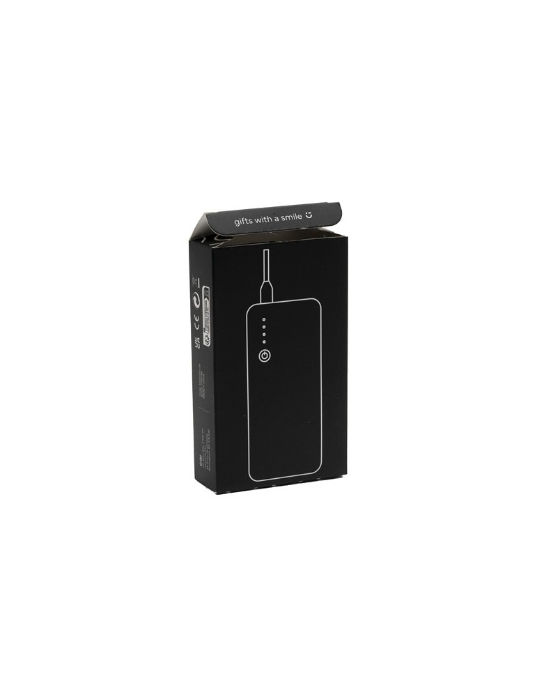 Powerbank 10000 C chargeur externe