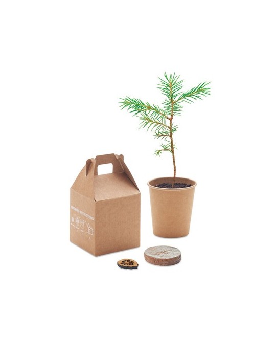 Set de Graines GROWTREE™ Personnalisé