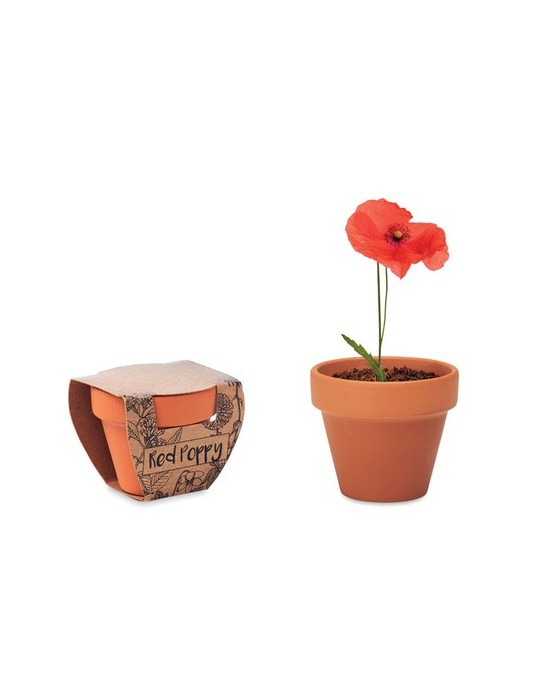 Pot graines de coquelicot  et pratique | Personnalisée pas cher
