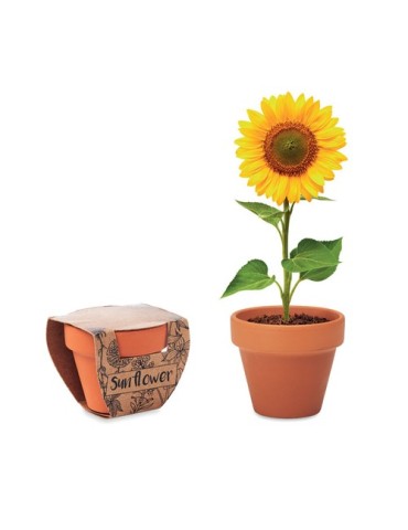 Pot graines de tournesol  et personnalisé | Cadeaux s
