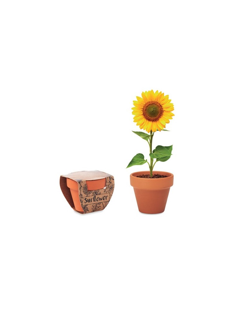 Pot graines de tournesol  et personnalisé | Cadeaux s