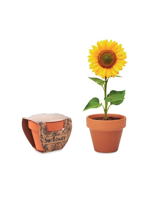Pot graines de tournesol  et personnalisé | Cadeaux s