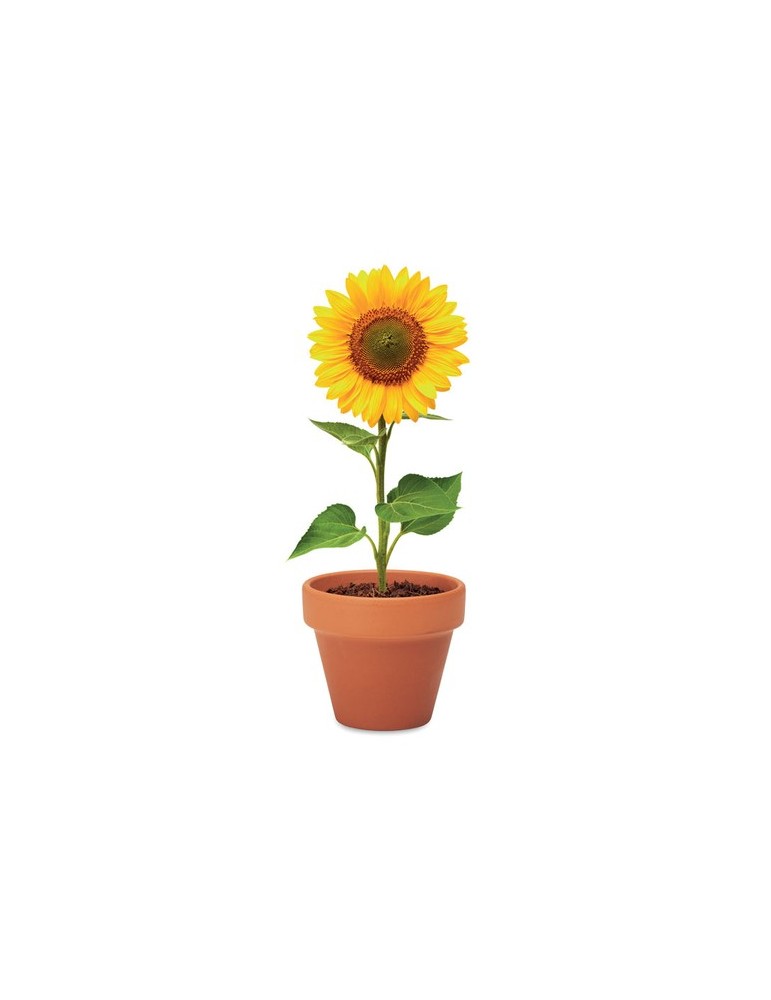 Pot graines de tournesol  et personnalisé | Cadeaux s