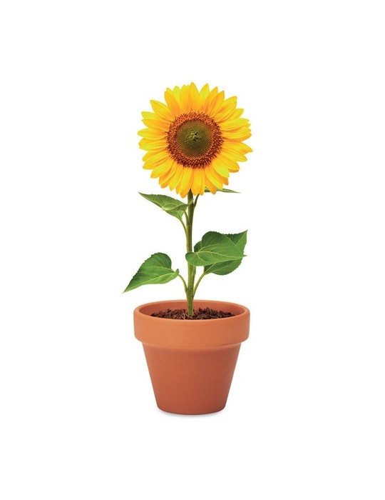 Pot graines de tournesol  et personnalisé | Cadeaux s