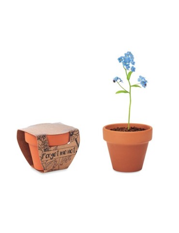 Pot myosotis  et personnalisé | Objets publicitaires