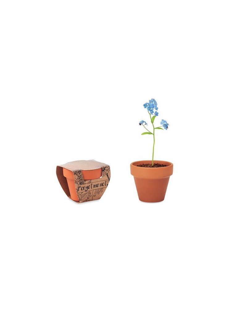 Pot myosotis  et personnalisé | Objets publicitaires