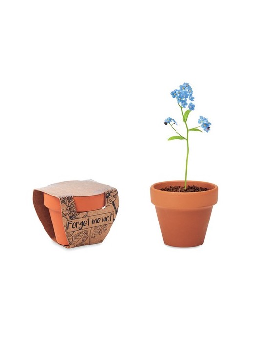 Pot myosotis  et personnalisé | Objets publicitaires