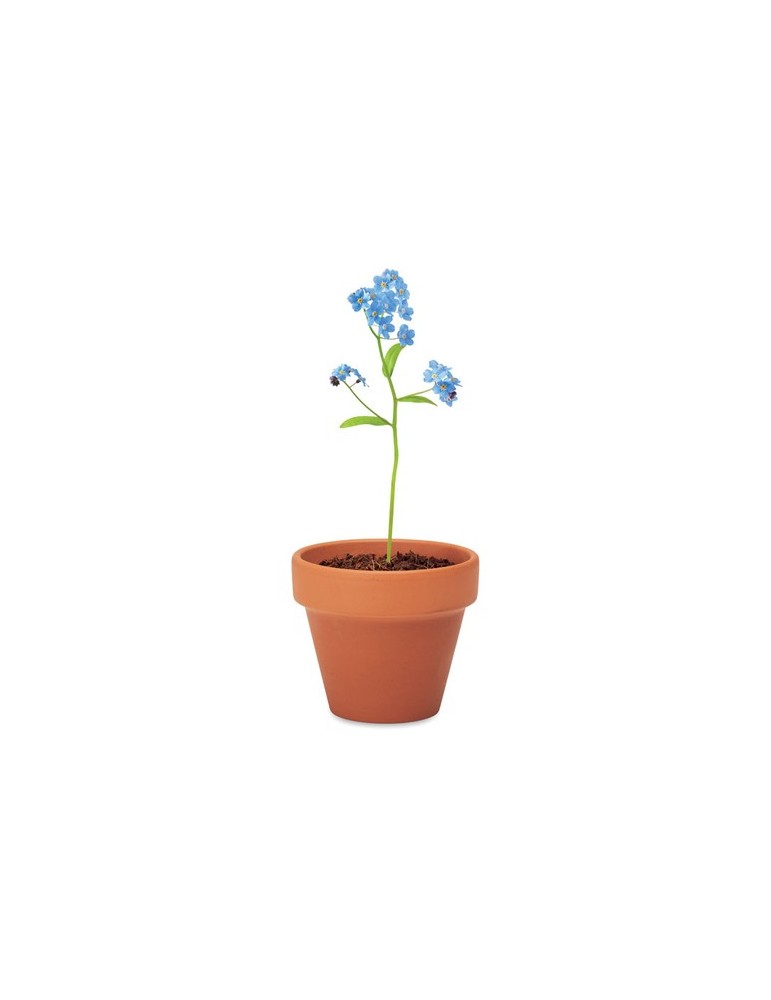 Pot myosotis  et personnalisé | Objets publicitaires