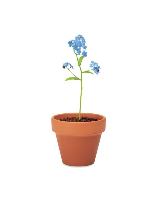 Pot myosotis  et personnalisé | Objets publicitaires