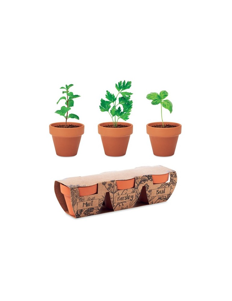 Pots s en terre cuite pour herbes | Objets publicitaires