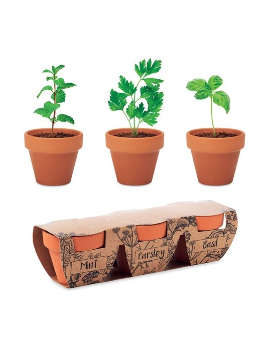 Pots s en terre cuite pour herbes | Objets publicitaires