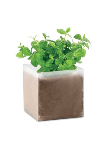 Substrat avec Graines de Menthe Personnalisé - Pratique pas cher