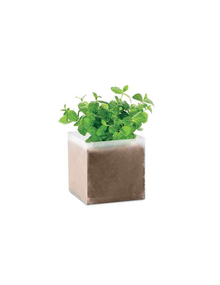 Substrat avec Graines de Menthe Personnalisé - Pratique pas cher