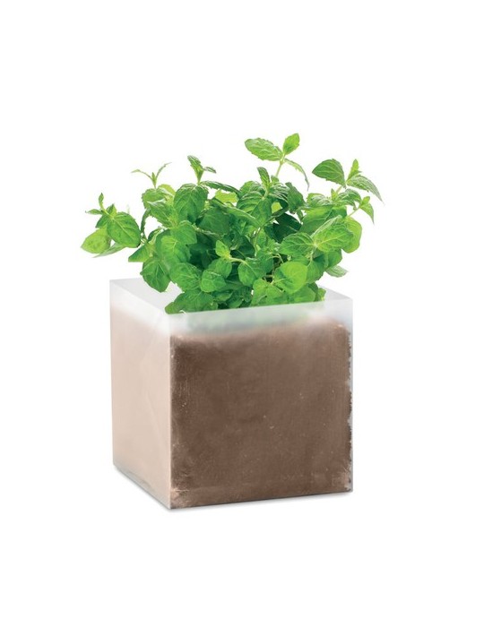 Substrat avec Graines de Menthe Personnalisé - Pratique pas cher