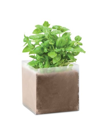 Substrat avec Graines de Basilic - Pratique pour Jardiniers