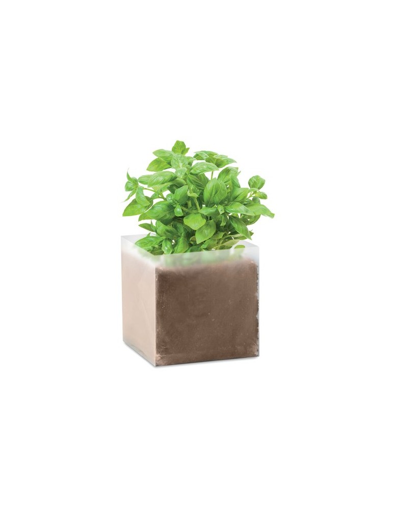 Substrat avec Graines de Basilic - Pratique pour Jardiniers